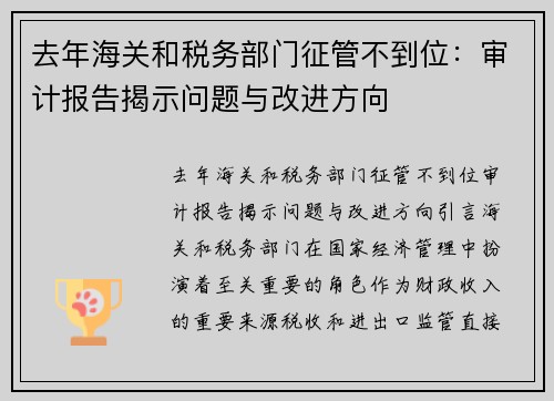 去年海关和税务部门征管不到位：审计报告揭示问题与改进方向