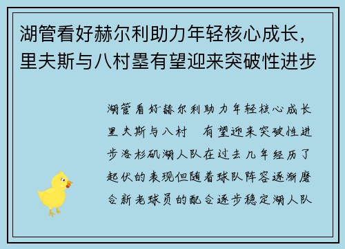 湖管看好赫尔利助力年轻核心成长，里夫斯与八村塁有望迎来突破性进步
