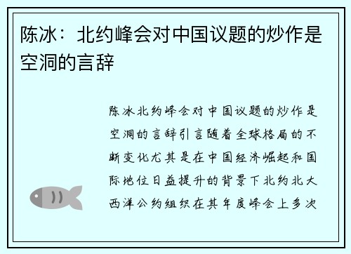 陈冰：北约峰会对中国议题的炒作是空洞的言辞