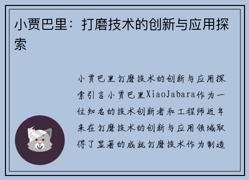 小贾巴里：打磨技术的创新与应用探索