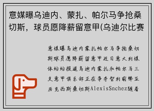 意媒曝乌迪内、蒙扎、帕尔马争抢桑切斯，球员愿降薪留意甲(乌迪尔比赛视频)