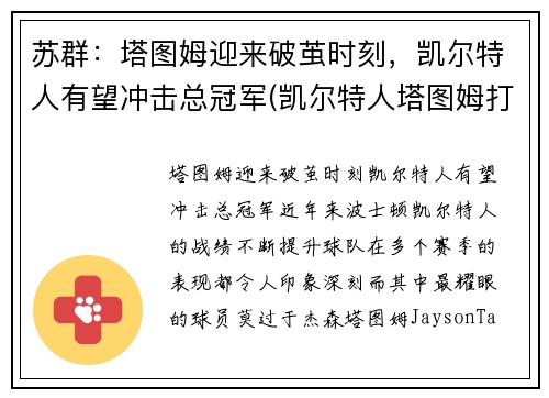 苏群：塔图姆迎来破茧时刻，凯尔特人有望冲击总冠军(凯尔特人塔图姆打中锋可以吗)